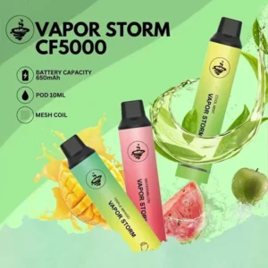 風暴5000口抛弃式